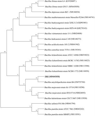 Biocontrol potential and action mechanism of Bacillus amyloliquefaciens DB2 on Bipolaris sorokiniana